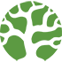 Bonsai Elasticsearch